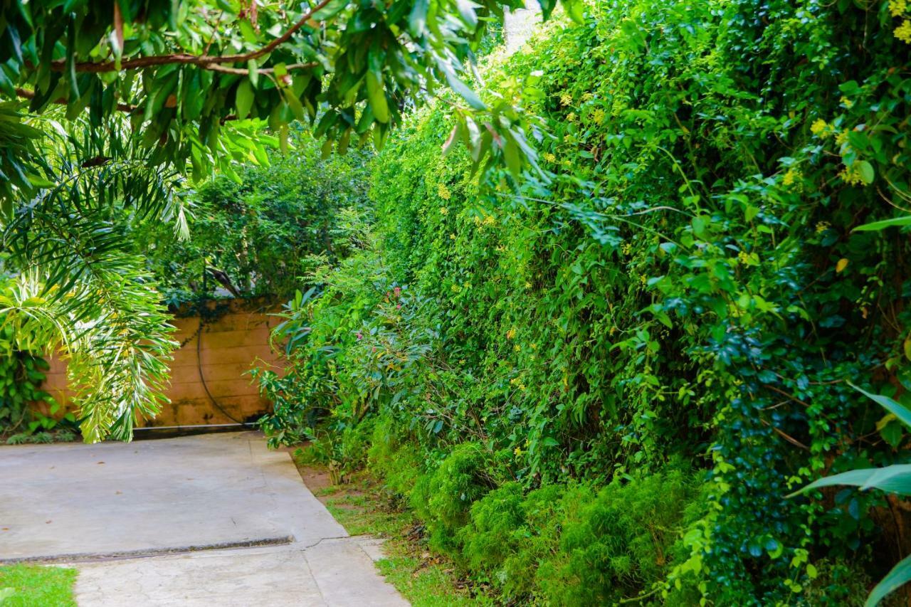 Homestay Garden Rest Kandy Exteriér fotografie