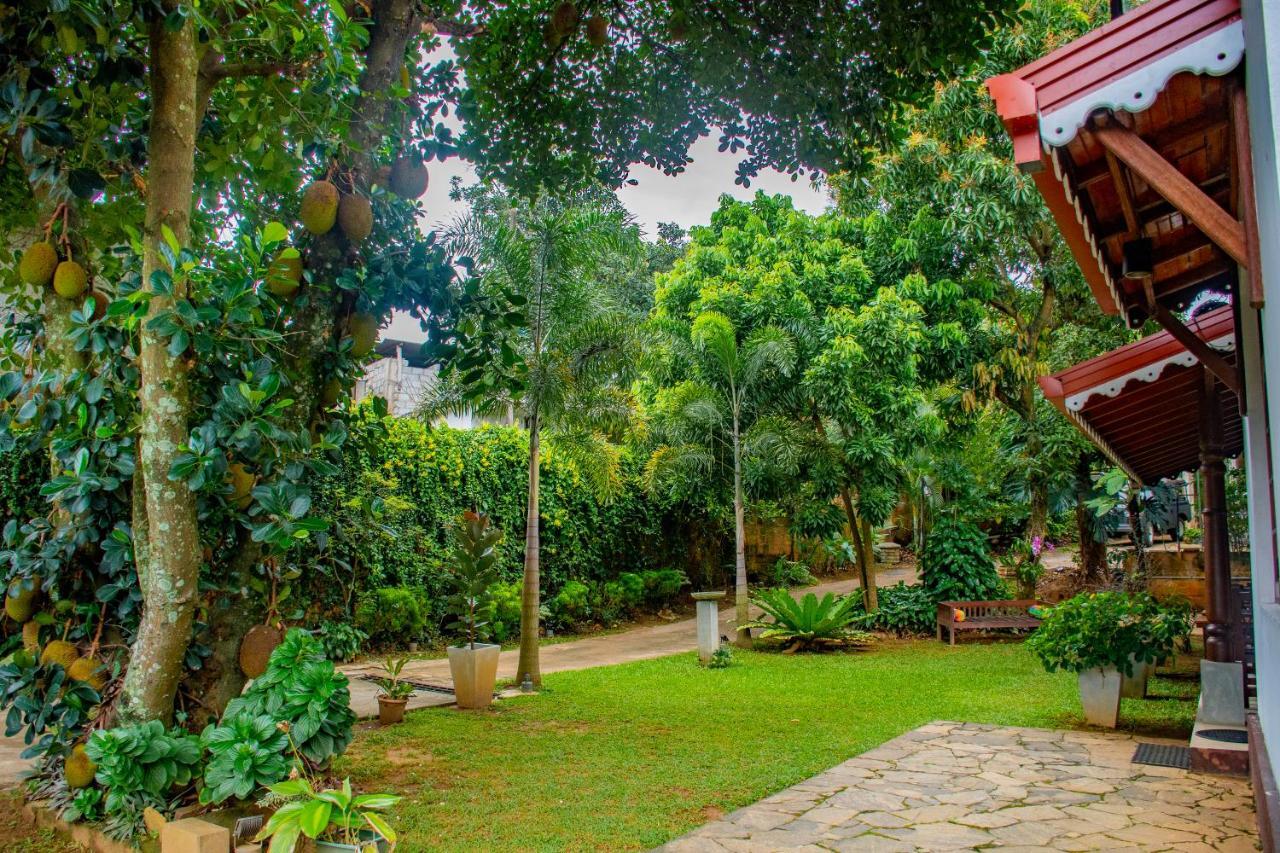 Homestay Garden Rest Kandy Exteriér fotografie