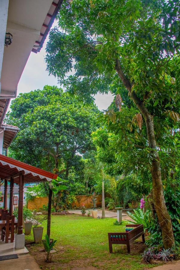 Homestay Garden Rest Kandy Exteriér fotografie