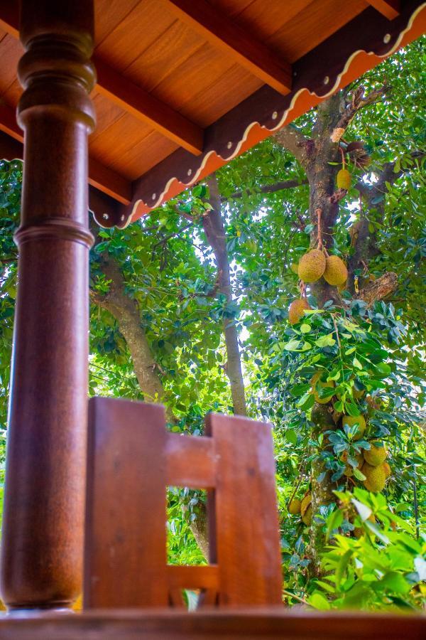 Homestay Garden Rest Kandy Exteriér fotografie
